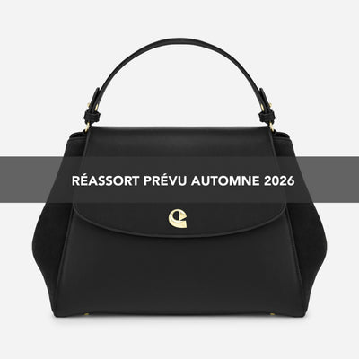 Sac Aura Spacieuse - Suede Noir